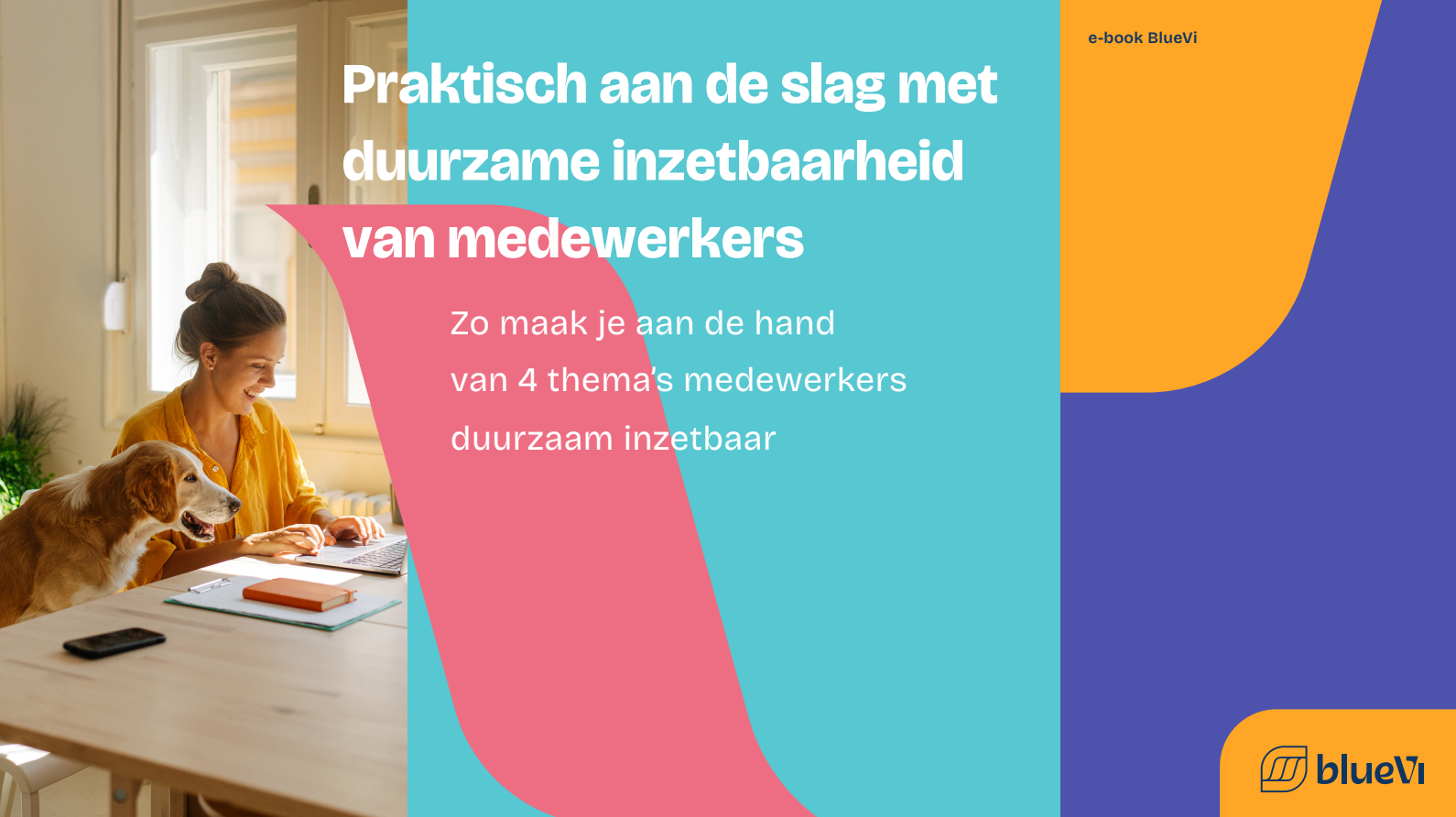 Duurzame inzetbaarheid